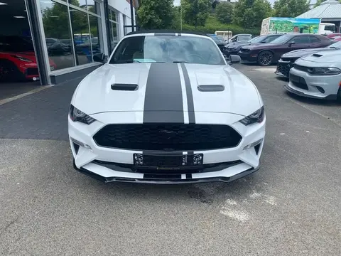 Used FORD MUSTANG Petrol 2018 Ad 