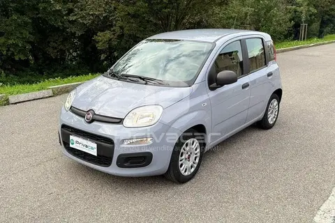 Used FIAT PANDA Hybrid 2020 Ad 