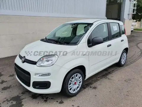 Used FIAT PANDA Hybrid 2022 Ad 