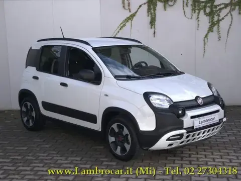 Annonce FIAT PANDA Hybride 2020 d'occasion 