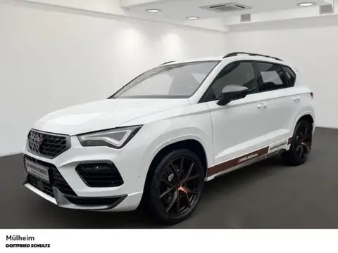 Used CUPRA ATECA Petrol 2024 Ad 