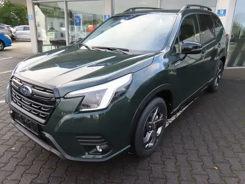 Annonce SUBARU FORESTER Hybride 2024 d'occasion 