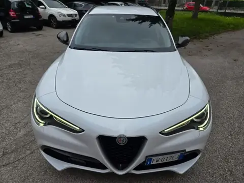 Annonce ALFA ROMEO STELVIO Diesel 2019 d'occasion 