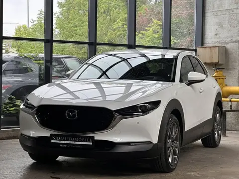 Used MAZDA CX-30 Petrol 2019 Ad Germany