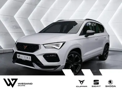 Used CUPRA ATECA Petrol 2022 Ad 