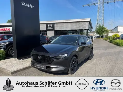 Used MAZDA CX-30 Petrol 2024 Ad Germany