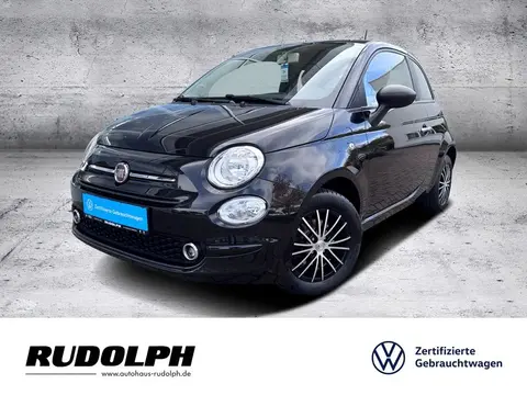 Used FIAT 500 Petrol 2019 Ad 