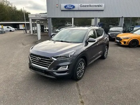 Used HYUNDAI TUCSON Diesel 2019 Ad 