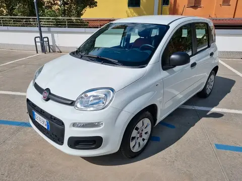 Annonce FIAT PANDA Essence 2020 d'occasion 