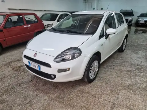 Annonce FIAT PUNTO  2015 d'occasion 