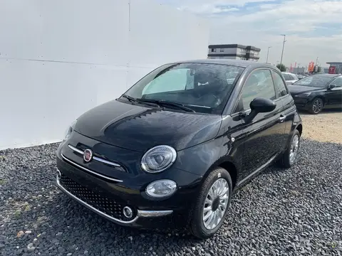 Used FIAT 500 Petrol 2024 Ad 