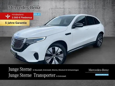 Annonce MERCEDES-BENZ EQC Non renseigné 2020 d'occasion 