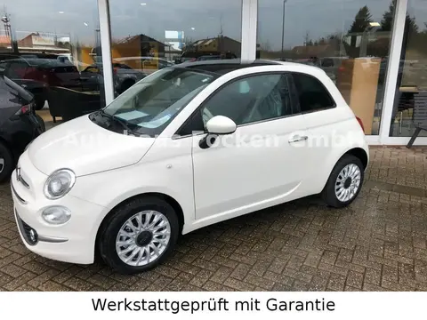 Used FIAT 500 Petrol 2023 Ad 