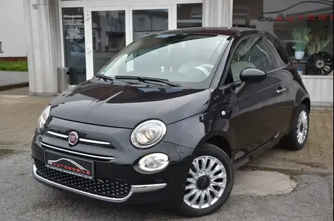 Used FIAT 500 Petrol 2019 Ad 