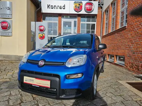 Used FIAT PANDA Petrol 2024 Ad 