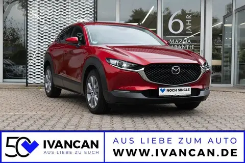 Used MAZDA CX-30 Petrol 2024 Ad Germany