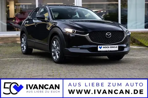 Used MAZDA CX-30 Hybrid 2022 Ad Germany