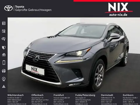 Used LEXUS NX Hybrid 2018 Ad 