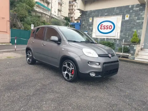 Annonce FIAT PANDA Hybride 2022 d'occasion 