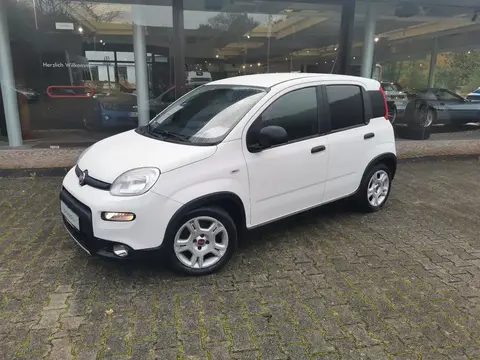 Annonce FIAT PANDA Essence 2023 d'occasion 