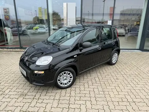 Used FIAT PANDA Petrol 2024 Ad 