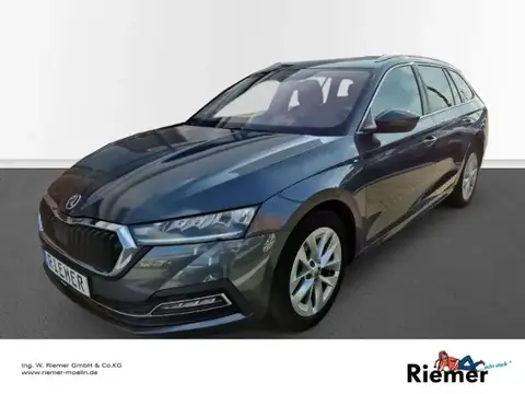 Annonce SKODA OCTAVIA Diesel 2021 d'occasion 