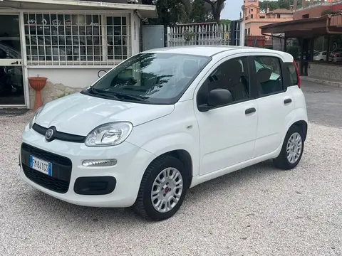 Used FIAT PANDA Petrol 2017 Ad 