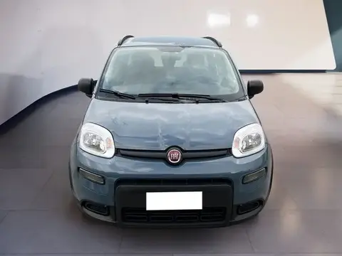 Annonce FIAT PANDA Hybride 2021 d'occasion 