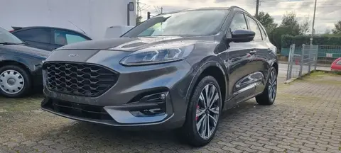 Used FORD KUGA Hybrid 2021 Ad 