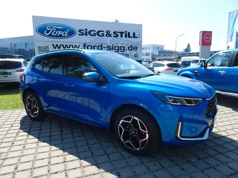 Annonce FORD KUGA Hybride 2024 d'occasion 