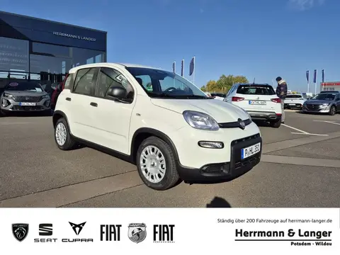 Used FIAT PANDA Petrol 2024 Ad 