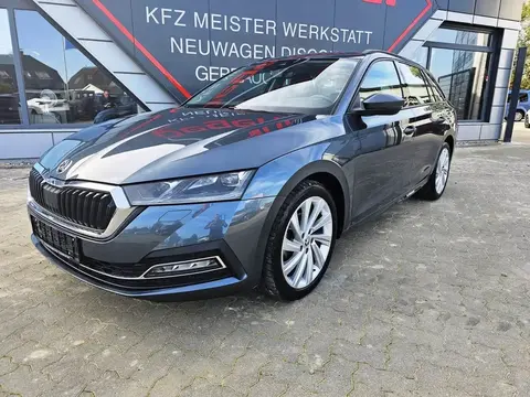 Annonce SKODA OCTAVIA Diesel 2020 d'occasion 