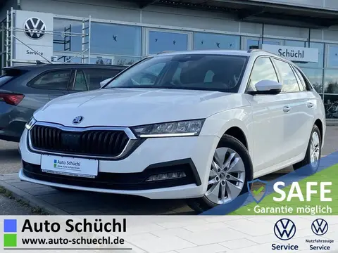 Used SKODA OCTAVIA Diesel 2021 Ad 