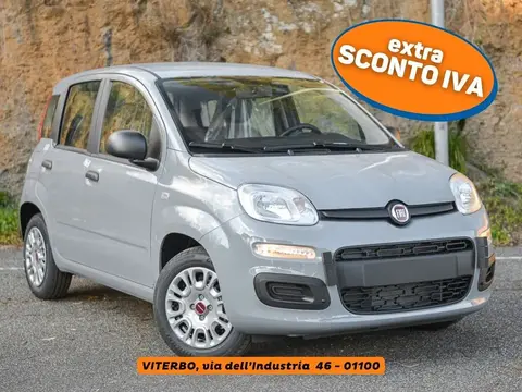 Annonce FIAT PANDA Hybride 2022 d'occasion 