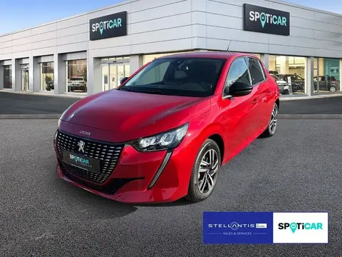 Used PEUGEOT 208 Petrol 2023 Ad 