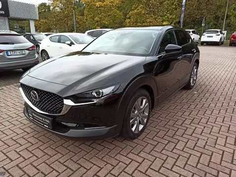 Used MAZDA CX-30 Petrol 2021 Ad Germany