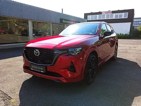 Used MAZDA CX-60 Hybrid 2023 Ad Germany