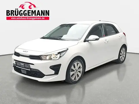 Annonce KIA RIO Essence 2023 d'occasion 