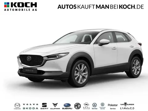 Used MAZDA CX-30 Hybrid 2024 Ad Germany