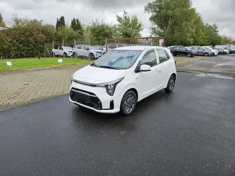 Annonce KIA PICANTO Essence 2024 d'occasion 