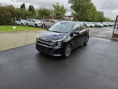 Used KIA PICANTO Petrol 2024 Ad 