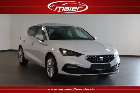 Used SEAT LEON Petrol 2021 Ad 