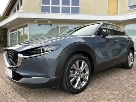 Annonce MAZDA CX-30 Essence 2021 d'occasion 