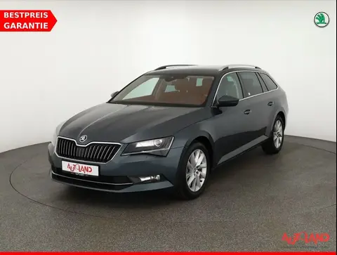 Annonce SKODA SUPERB Diesel 2019 d'occasion 