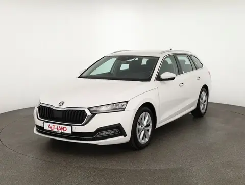 Used SKODA OCTAVIA Diesel 2020 Ad 