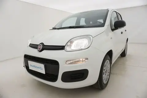 Annonce FIAT PANDA Essence 2020 d'occasion 