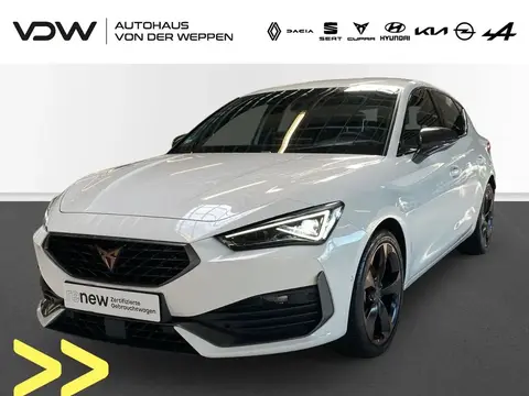 Used CUPRA LEON Petrol 2023 Ad 