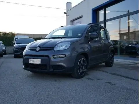 Used FIAT PANDA Hybrid 2022 Ad 