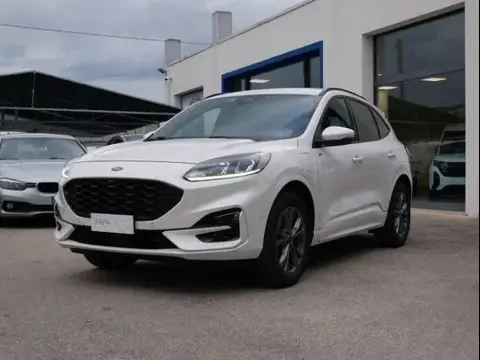 Used FORD KUGA Hybrid 2022 Ad 