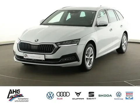 Used SKODA OCTAVIA Petrol 2024 Ad 